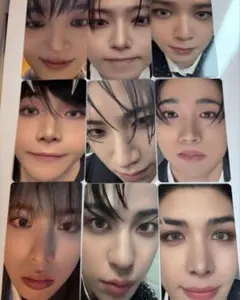 &TEAM 月狼 Go in Blindソロ　ベイビーウルフ コンプリート9枚