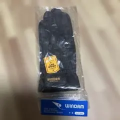 Item thumbnail for item 8a2144a9-0917-4a4a-9fe7-d937dfd6ab9c