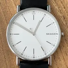 2026年最新】SKAGEN SKW6428 Signaturの人気アイテム - メルカリ