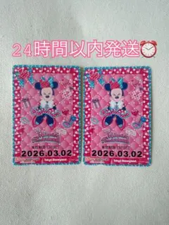 ミニーの日　リゾラ　フリーきっぷ　期限切れ　コレクション用