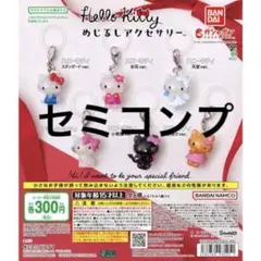 即購入❌ハローキティめじるしアクセサリー　セミコンプ