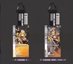 【中国限定】ブルーアーカイブ 物譜奇珍 通行認証49.0【異格レイズ】