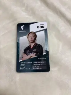FENNEL GON VCJ sp2 valorant プレイヤーカード