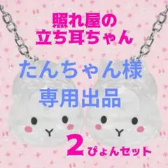 Item thumbnail for item 4b3de70f-6963-4810-b407-32da0920508a