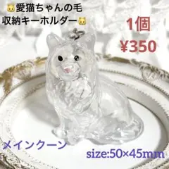 parts No.8871【在庫:4個】