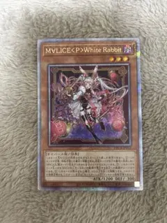 2025年最新】遊戯王 M∀LICE<P>White Rabbit 25thの人気アイテム