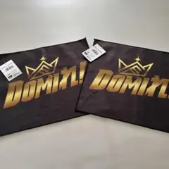 注意事項あり‼️北海道日本ハムファイターズ DOMIれ！スイングタオル2枚セット
