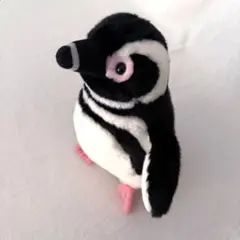 Item thumbnail for item c34f2b29-85ee-4d0d-a259-22403e570708