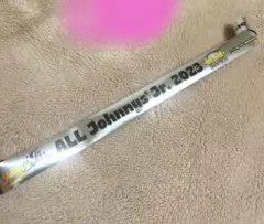 2025年最新】わっしょい 銀テの人気アイテム - メルカリ