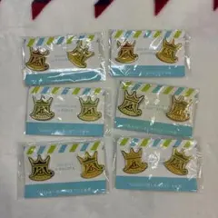 嵐2010年君と僕の見ている風景ツアーグッズ ピンバッジセット 全6個セット