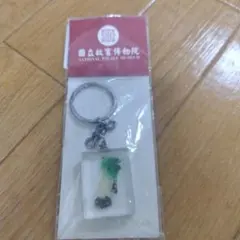 Item thumbnail for item d09dd468-d8dc-41f0-9066-0ba168e3db5e