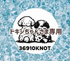 プロフ必読ce0411さま専用ページ - メルカリ