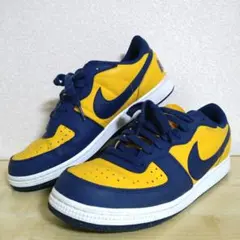 わ*る様 【レアカラー】ナイキ NIKE スニーカー 靴