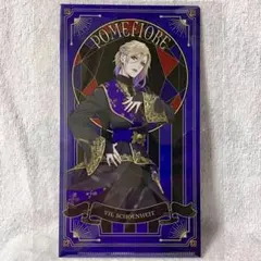 【ツイステ】ヴィル・シェーンハイト╱チケットクリアファイル