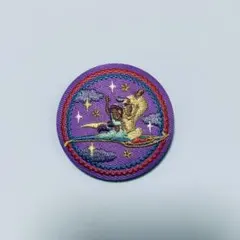 Disney Characters 刺繍缶バッジビスケット　アラジン