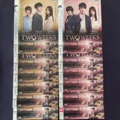 TWO WEEKS〜トゥー・ウィークス 〜DVD 韓国ドラマ.日本語吹き替え付きのサムネイル