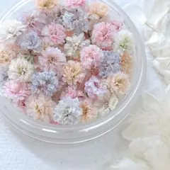 かすみ草ドライフラワー　オレンジmix