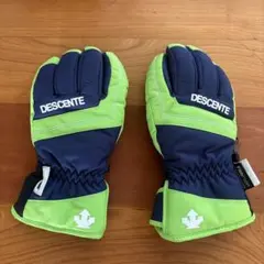 DESCENTE スキーグローブ JL 美品
