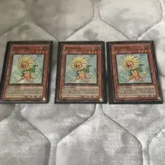 Item thumbnail for item 15289a70-1c1f-4978-844a-7c8cc6f6c221