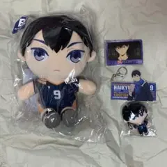 影山飛雄　ぬいぐるみ&カード&キーホルダー　まとめ売りセット