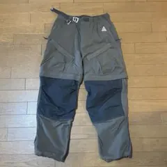 ACG カーゴパンツ ブラウン