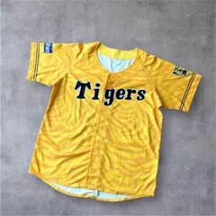 Item thumbnail for item 4452dce2-4eb8-4bf3-bce5-56d4a9010f22