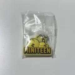 SEVENTEEN MINITEEN めじるしアクセサリー ホシ