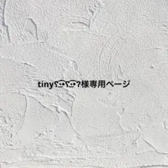 tinyʕ•̫͡•ʕ•̫͡•ʔ様 リクエスト 2点 まとめ商品