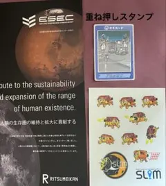 たくみん ピンチェキ24枚 バラ売り可 - メルカリ