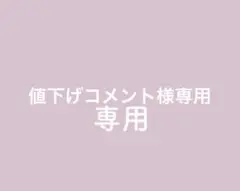 値下げコメント様、専用購入禁止