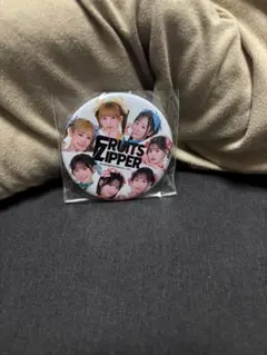 FRUITS ZIPPER 缶バッジ