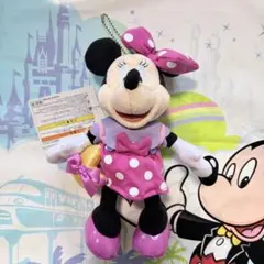 ディズニーランド⭐️43周年 ぬいぐるみバッジ ミニー