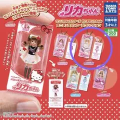 サンリオキャラクターズ　だいすきリカちゃん　ミニチュアパッケージコレクション