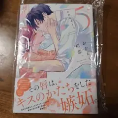 アニメイト特典付き★おかえり、初恋。5
