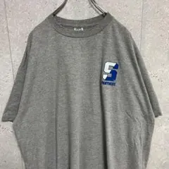 JERZEES USA製 パンサーズ　チームロゴ両面プリント　ビックTシャツ2Xのサムネイル