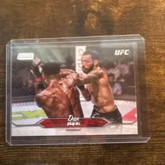 Item thumbnail for item 7a96331c-2787-418c-b810-8a3bf2cd8941