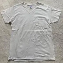 Item thumbnail for item 420ca03a-c5de-4954-bb04-42c80d9b10a1