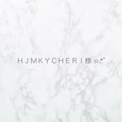 ＨＪＭＫＹＣＨＥＲＩ様 リクエスト 2点 まとめ商品
