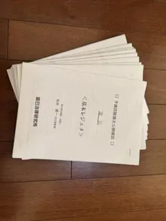 カメハメ波様 リクエスト 2点 まとめ商品