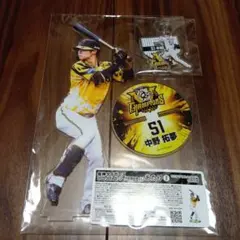 中野拓夢 シークレットビジョンファブリックスローガン 2024 中野拓夢 シークレットビジョンファブリックスローガン 2024 51