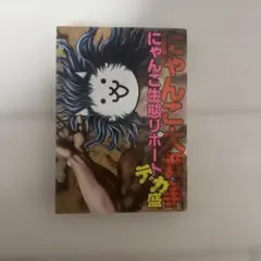 貓咪大戰爭 貓咪生態報告