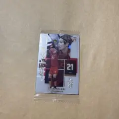 バレーボール男子日本代表 ツインウエハース 永露元稀 カード R レア