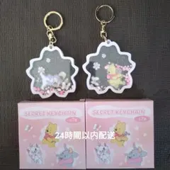 ディズニーシークレットキーチェーン【プーさん、イーヨー】