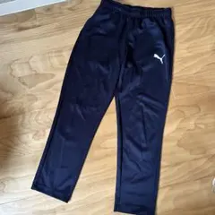 Item thumbnail for item 8858f5fd-685d-4a9c-8e2a-9a72f44ec693