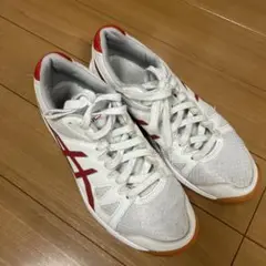 asics 体育館シューズ　24.5cm 訳あり品