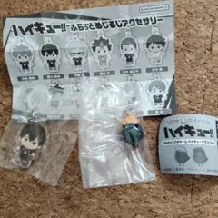 ハイキュー めじるしアクセサリー リングチャーム まとめ売り