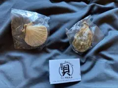 貝マスコット　ガチャ　２種セット