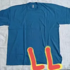 新品♦短期間限定、値下げしました♦６.５ozガーメントダイ　半袖Ｔ♦ブルームーン