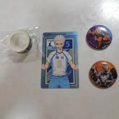 Item thumbnail for item c6252a73-bbff-4fb3-ac40-b5eccd88690a