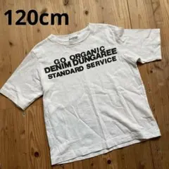 Item thumbnail for item 9aea999d-6a25-43ac-9575-4c0479a481ca